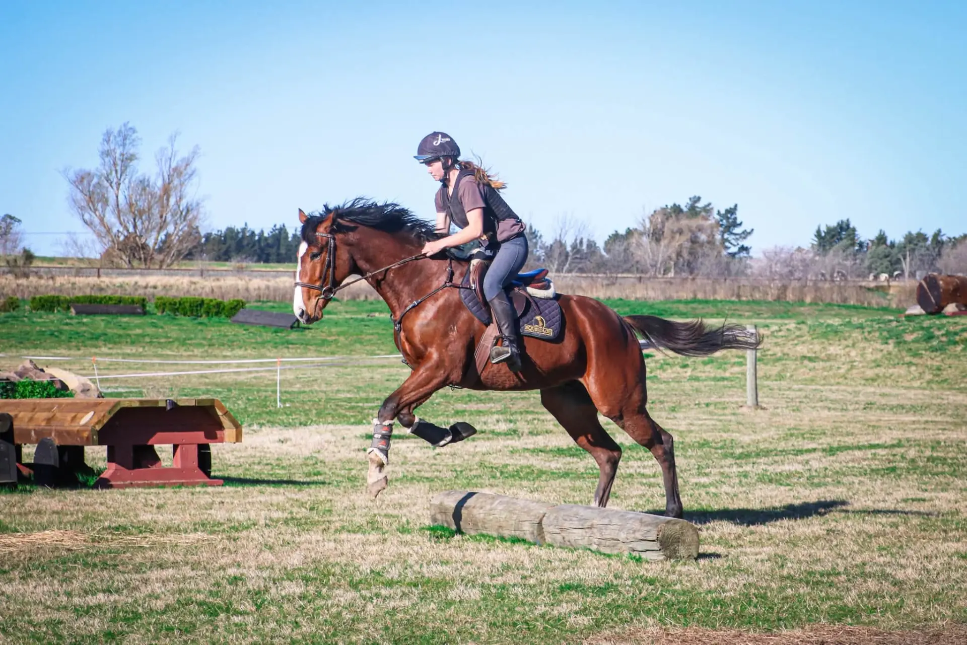Jess Land Equestrian & Racing